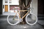 42_photo_vélo_bambou.jpg