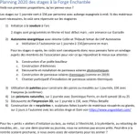 202_Planning_2020_des_stages_à_la_Forge_Enchantée.pdf